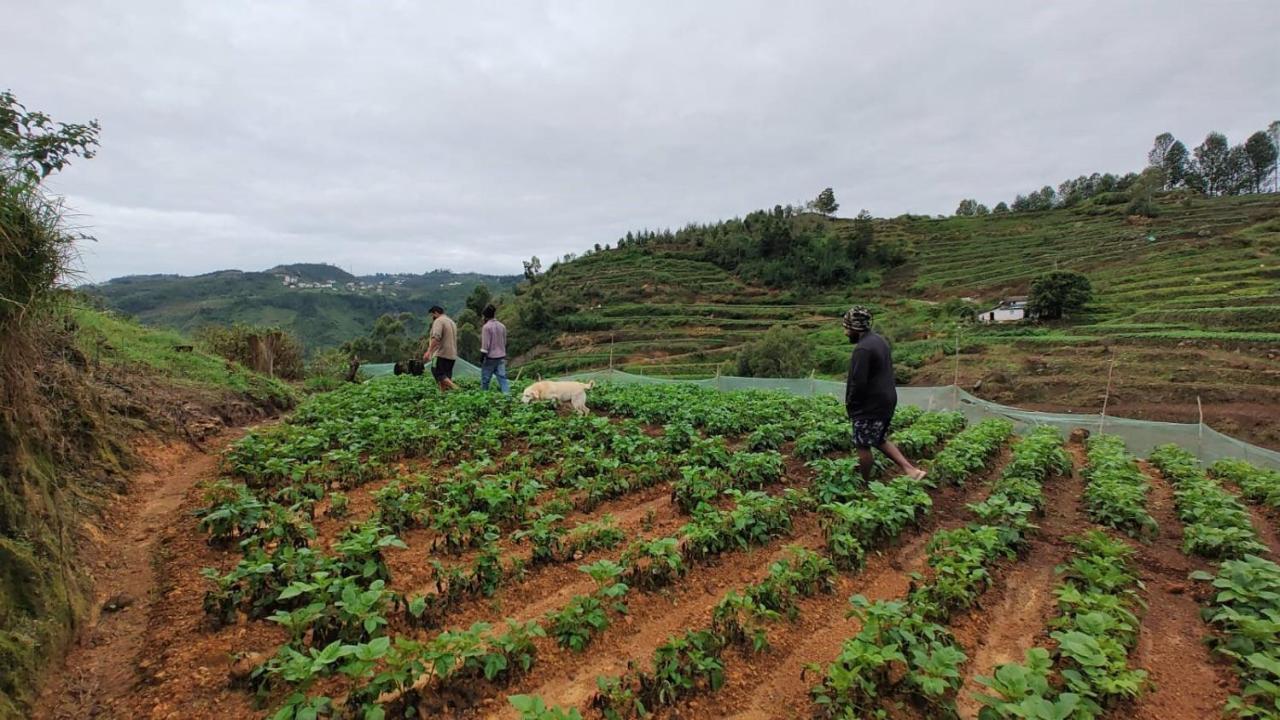 Vila Hie Moksha Glamping Kodaikanal Exteriér fotografie