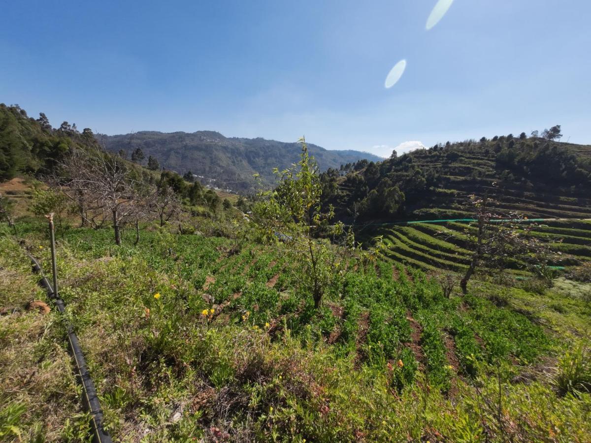 Vila Hie Moksha Glamping Kodaikanal Exteriér fotografie