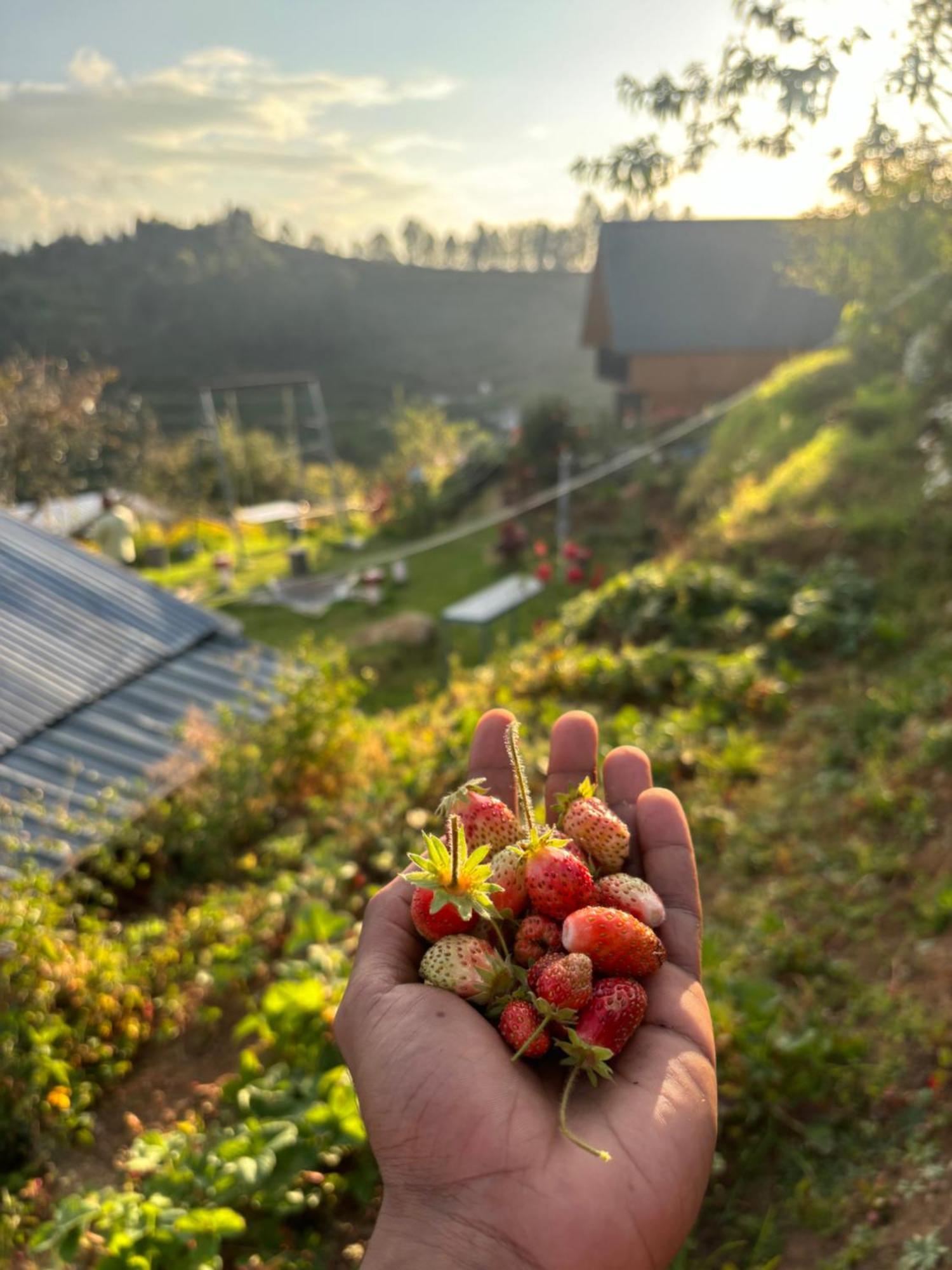 Vila Hie Moksha Glamping Kodaikanal Exteriér fotografie